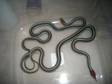 1.1 San Fransisco Garter Snakes