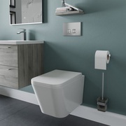 Browse our Exclusive Collection of Wall Mounted Toilets online