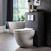 View an Extensive range of Wall hung Toilets at UK's leading online ba